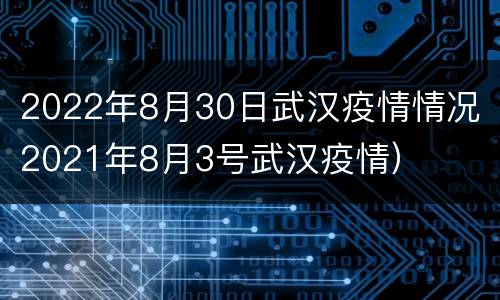 2022年8月30日武汉疫情情况（2021年8月3号武汉疫情）