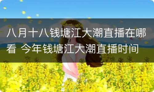 八月十八钱塘江大潮直播在哪看 今年钱塘江大潮直播时间