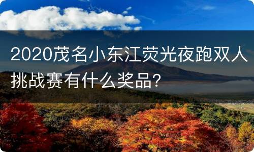 2020茂名小东江荧光夜跑双人挑战赛有什么奖品？
