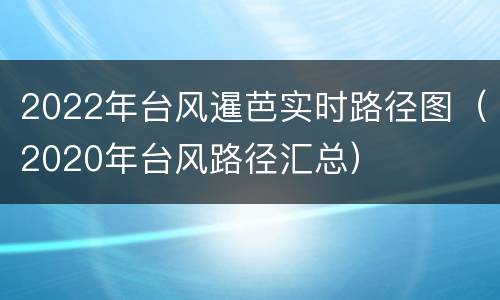 2022年台风暹芭实时路径图（2020年台风路径汇总）