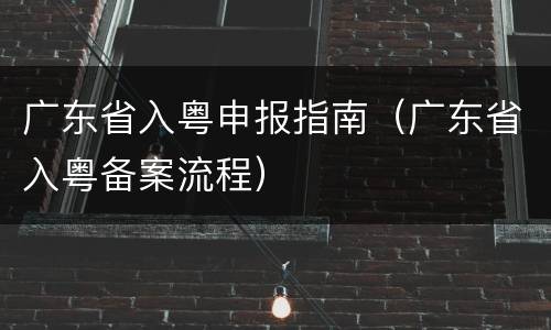 广东省入粤申报指南（广东省入粤备案流程）