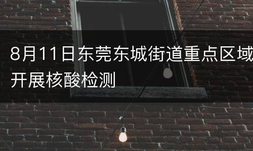 8月11日东莞东城街道重点区域开展核酸检测