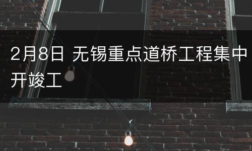2月8日 无锡重点道桥工程集中开竣工