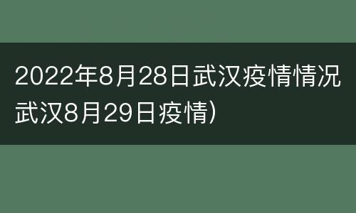 2022年8月28日武汉疫情情况（武汉8月29日疫情）