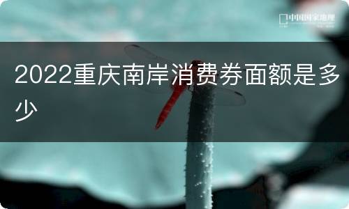 2022重庆南岸消费券面额是多少