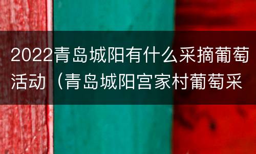 2022青岛城阳有什么采摘葡萄活动（青岛城阳宫家村葡萄采摘）