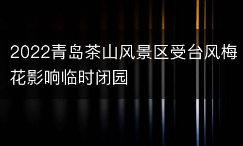 2022青岛茶山风景区受台风梅花影响临时闭园