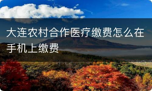 大连农村合作医疗缴费怎么在手机上缴费