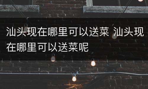 汕头现在哪里可以送菜 汕头现在哪里可以送菜呢