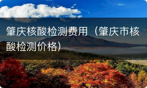 肇庆核酸检测费用（肇庆市核酸检测价格）
