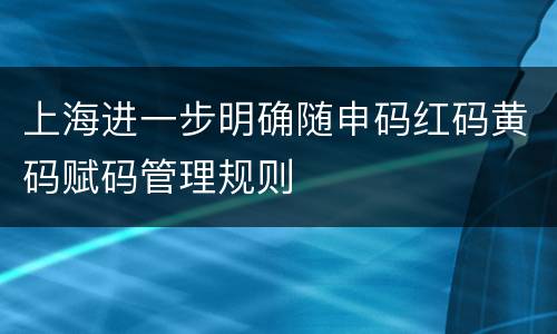 上海进一步明确随申码红码黄码赋码管理规则