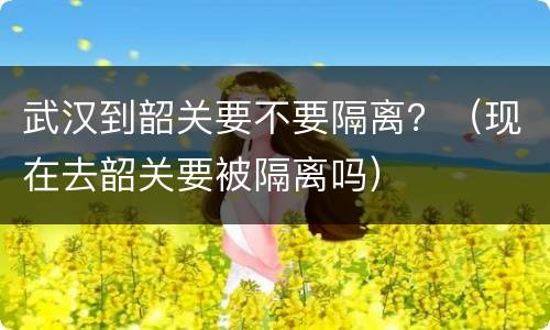 武汉到韶关要不要隔离？（现在去韶关要被隔离吗）