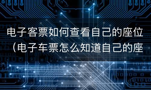 电子客票如何查看自己的座位（电子车票怎么知道自己的座位）