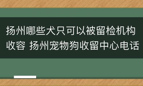 扬州哪些犬只可以被留检机构收容 扬州宠物狗收留中心电话