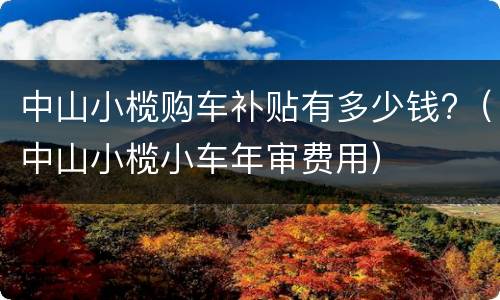 中山小榄购车补贴有多少钱?（中山小榄小车年审费用）