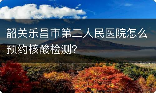 韶关乐昌市第二人民医院怎么预约核酸检测？