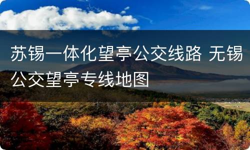 苏锡一体化望亭公交线路 无锡公交望亭专线地图