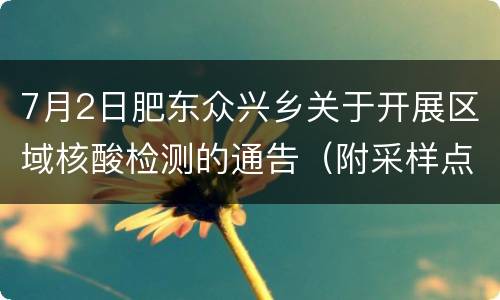 7月2日肥东众兴乡关于开展区域核酸检测的通告（附采样点）