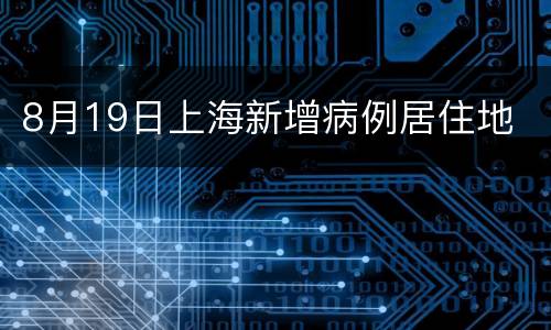 8月19日上海新增病例居住地