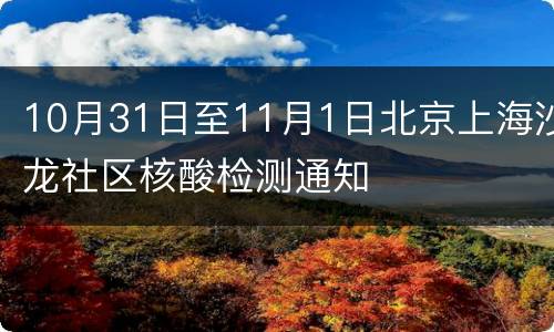 10月31日至11月1日北京上海沙龙社区核酸检测通知