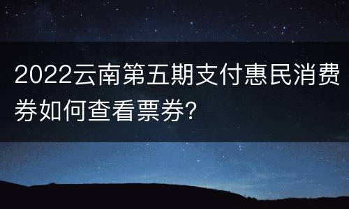 2022云南第五期支付惠民消费券如何查看票券？