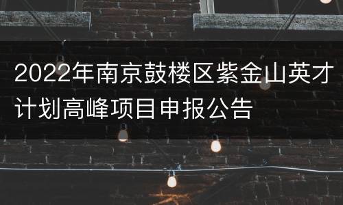 2022年南京鼓楼区紫金山英才计划高峰项目申报公告