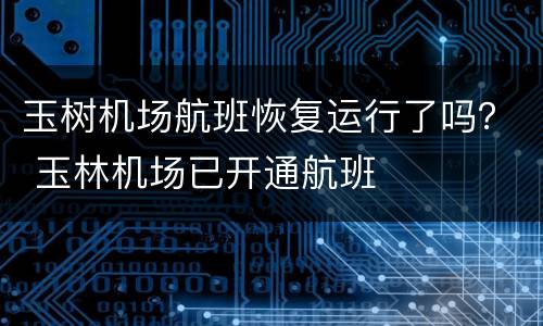 玉树机场航班恢复运行了吗？ 玉林机场已开通航班