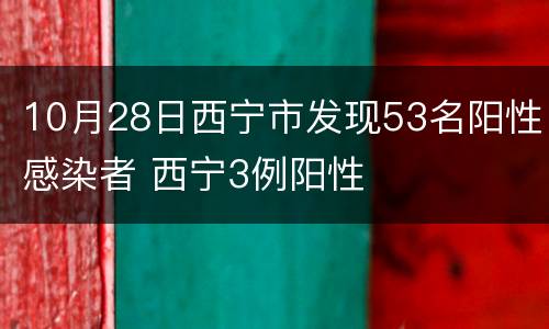 10月28日西宁市发现53名阳性感染者 西宁3例阳性