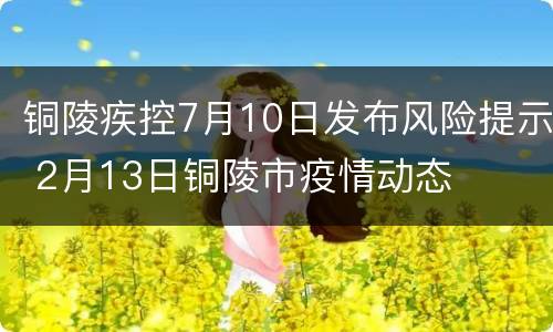 铜陵疾控7月10日发布风险提示 2月13日铜陵市疫情动态
