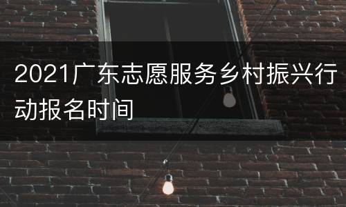 2021广东志愿服务乡村振兴行动报名时间