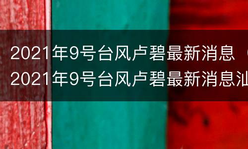 2021年9号台风卢碧最新消息（2021年9号台风卢碧最新消息汕头）