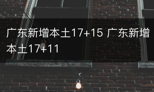 广东新增本土17+15 广东新增本土17+11