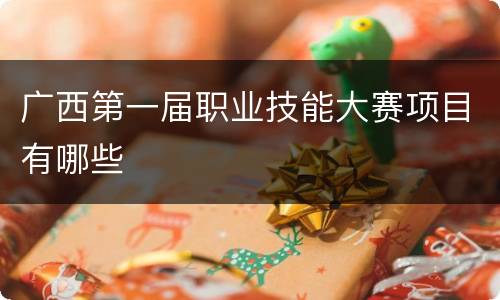 广西第一届职业技能大赛项目有哪些