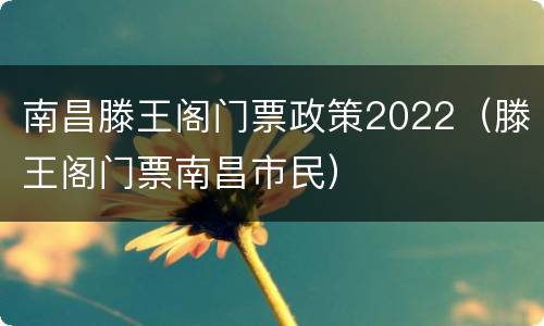 南昌滕王阁门票政策2022（滕王阁门票南昌市民）