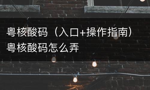 粤核酸码（入口+操作指南） 粤核酸码怎么弄