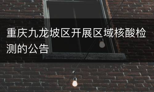 重庆九龙坡区开展区域核酸检测的公告