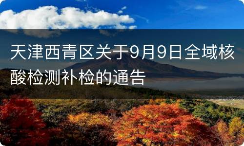 天津西青区关于9月9日全域核酸检测补检的通告