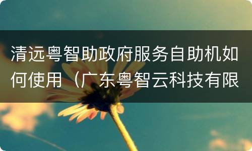 清远粤智助政府服务自助机如何使用（广东粤智云科技有限公司）