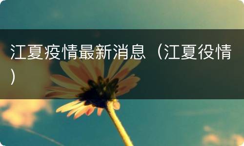 江夏疫情最新消息（江夏役情）