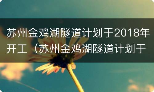 苏州金鸡湖隧道计划于2018年开工（苏州金鸡湖隧道计划于2018年开工吗）