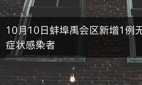 10月10日蚌埠禹会区新增1例无症状感染者