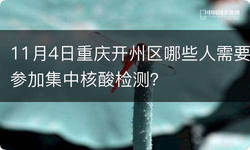 11月4日重庆开州区哪些人需要参加集中核酸检测？