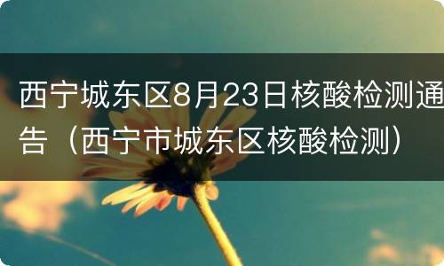 西宁城东区8月23日核酸检测通告（西宁市城东区核酸检测）