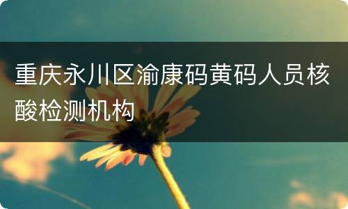 重庆永川区渝康码黄码人员核酸检测机构