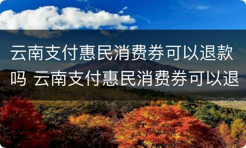 云南支付惠民消费券可以退款吗 云南支付惠民消费券可以退款吗怎么退
