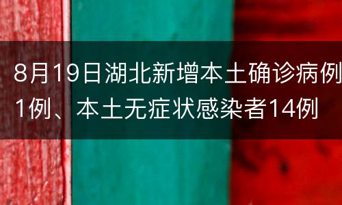 8月19日湖北新增本土确诊病例1例、本土无症状感染者14例