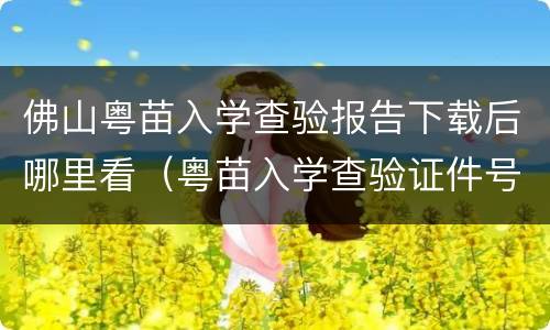 佛山粤苗入学查验报告下载后哪里看（粤苗入学查验证件号码为空）