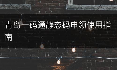 青岛一码通静态码申领使用指南