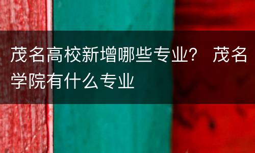 茂名高校新增哪些专业？ 茂名学院有什么专业