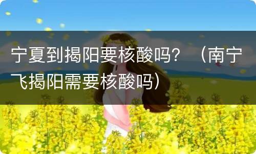 宁夏到揭阳要核酸吗？（南宁飞揭阳需要核酸吗）